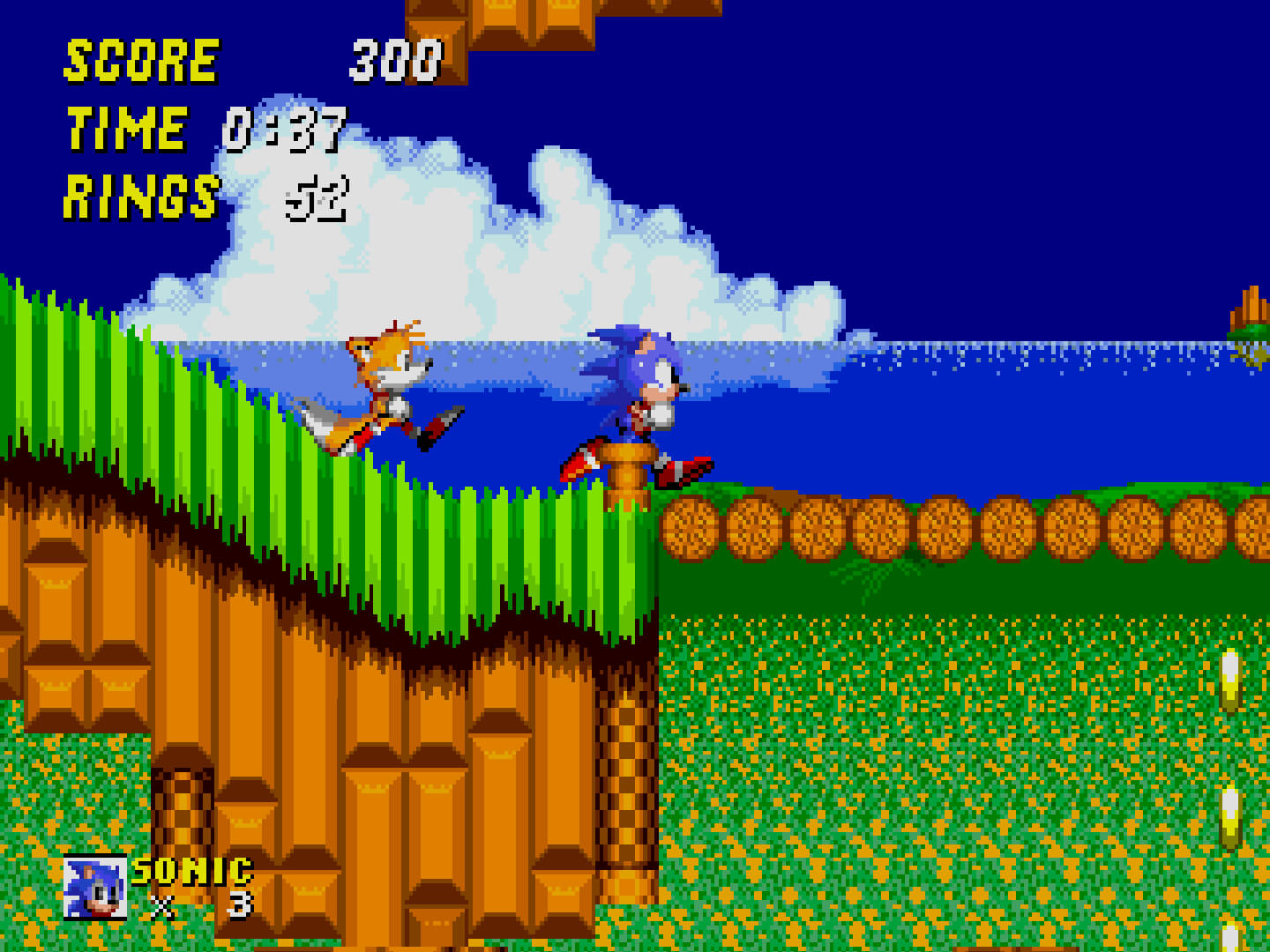 Sonic and Tails running together through Emerald Hill Zone in Sonic the Hedgehog 2